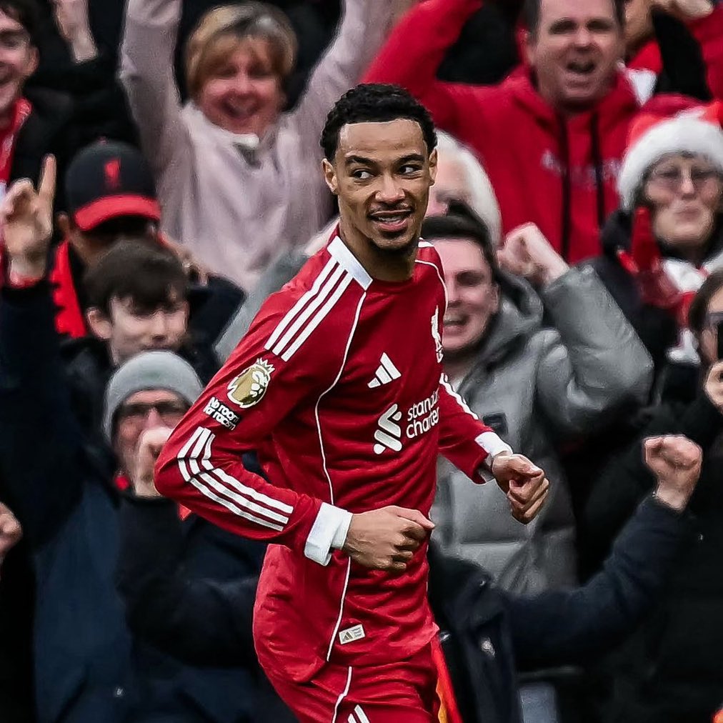 🔴 𝙰𝚗𝚏𝚒𝚎𝚕𝚍 𝚅𝚒𝚎𝚠 🔴 tweet media