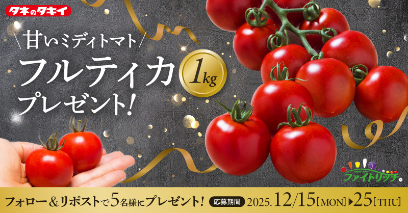 📢 #キャンペーン 🥳
 
／
あま〜いミディトマト🍅
｢#フルティカ｣をドーンと1kg！
5名様にプレゼント🎁
＼

≫応募条件
❶<a href="/Takiiseed_1835/">【公式】タキイ種苗株式会社(タネのタキイ)</a> をフォロー
❷この投稿をリポスト

≫応募締切
2025年12月25日(木)

※当選はDMにてご連絡します

#タキイ #トマト #中玉トマト #懸賞