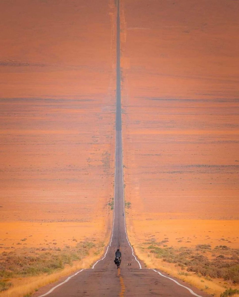 Wolf of X tweet media