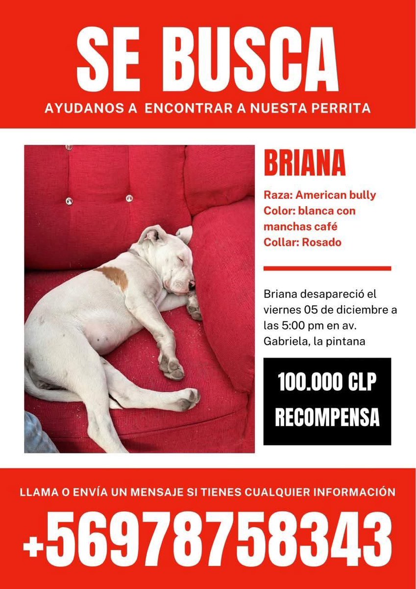 Atención #lapintana de busca rt