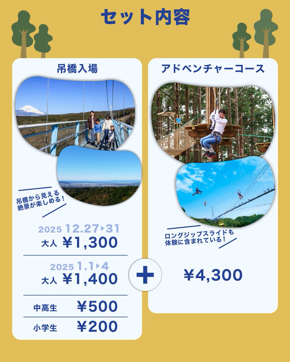 アスレチックで発散プラン】 空中散歩しながら富士山を眺めた後は、 森