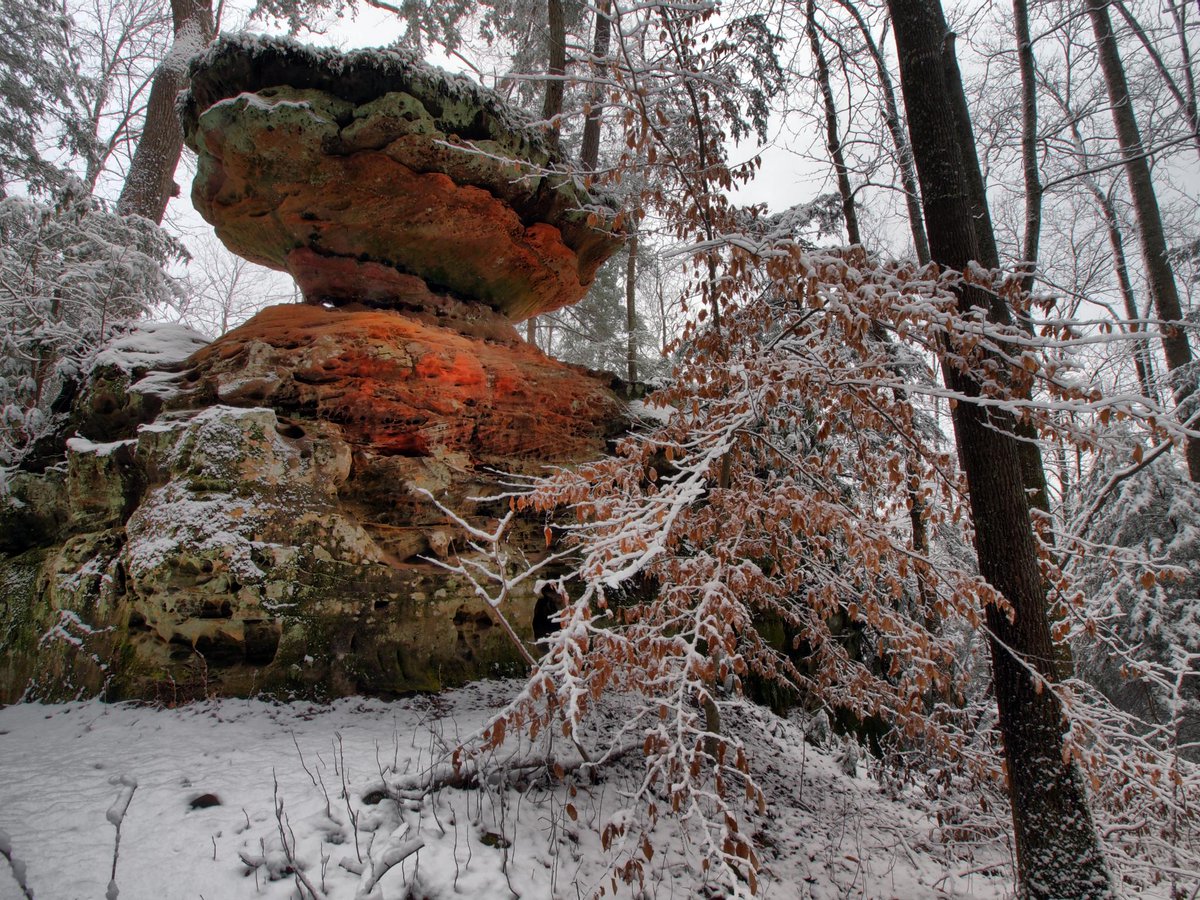 Kentucky Tourism tweet media