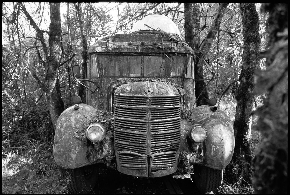 🅺🆄🆂🅷🍄 tweet media