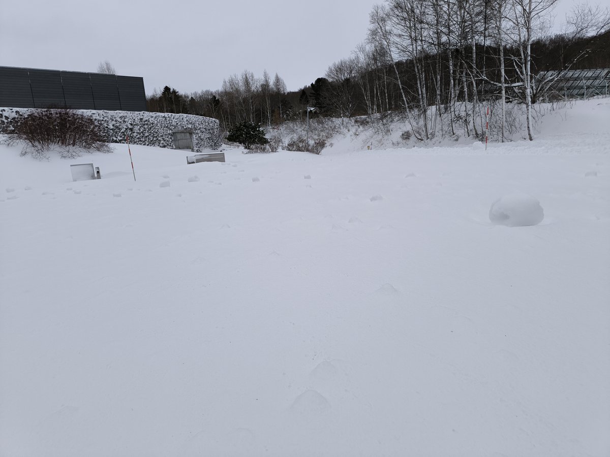 ashoromuseum's tweet photo. 本日（12月15日）は大雪のため、除雪作業が終わるまで休館とさせていただきます。開館できしだい、お知らせいたします。 https://t.co/MjiwZcsdII