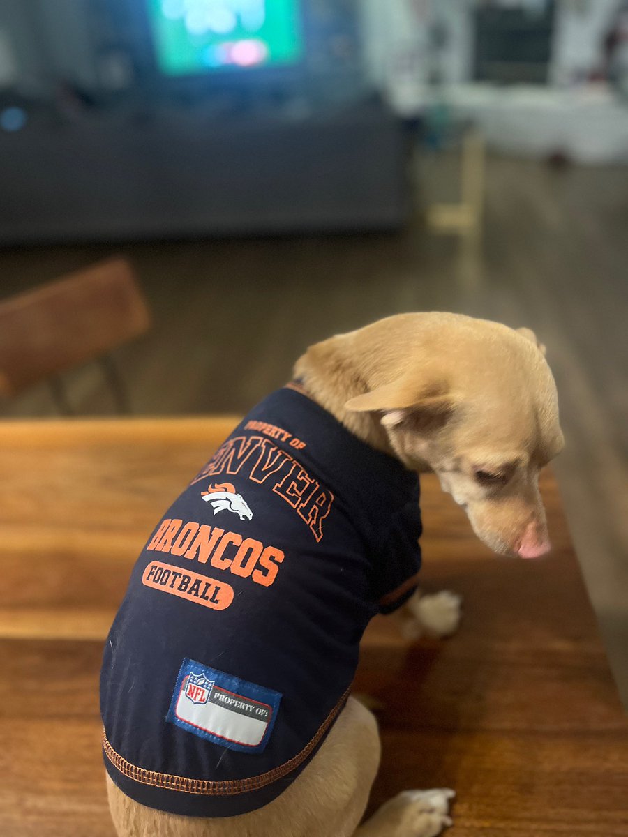 ExtraAdmin's tweet photo. I got a lucky dog! 🐕 @Broncos https://t.co/YwxK7cHBDm