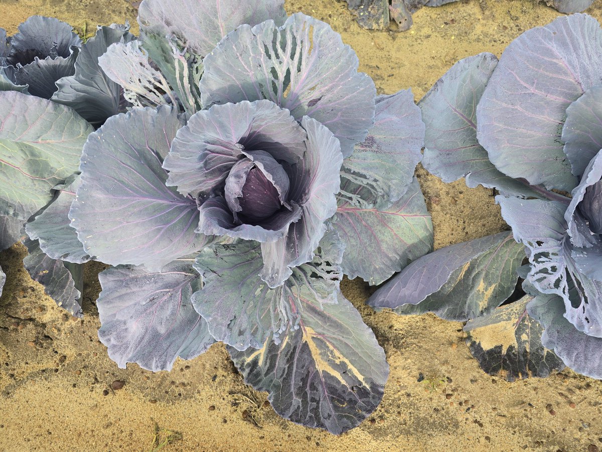 Tim Flanders tweet media