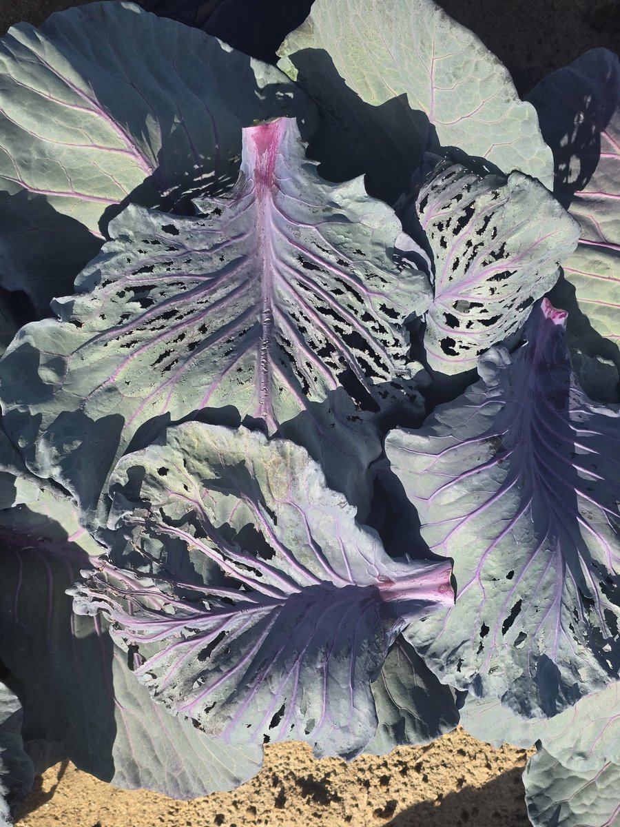 Tim Flanders tweet media