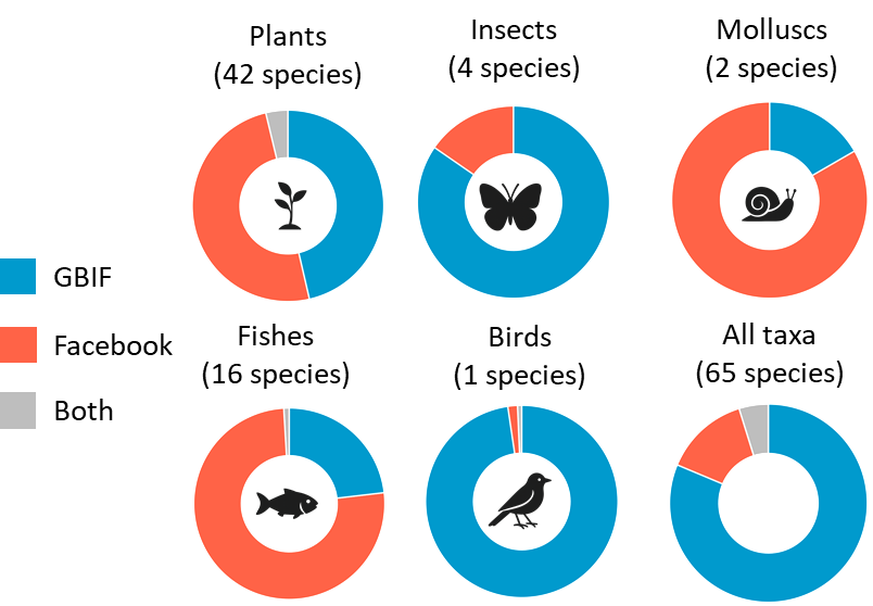 Shawan Chowdhury (শাওন চৌধুরী) tweet media