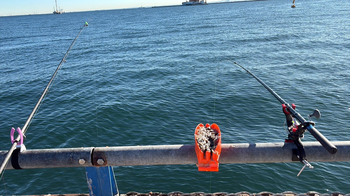 釣れない釣りサー★ページ 今日は厳しい！ 最近私の居場所はここになっている 🎣 釣れないかなぁ