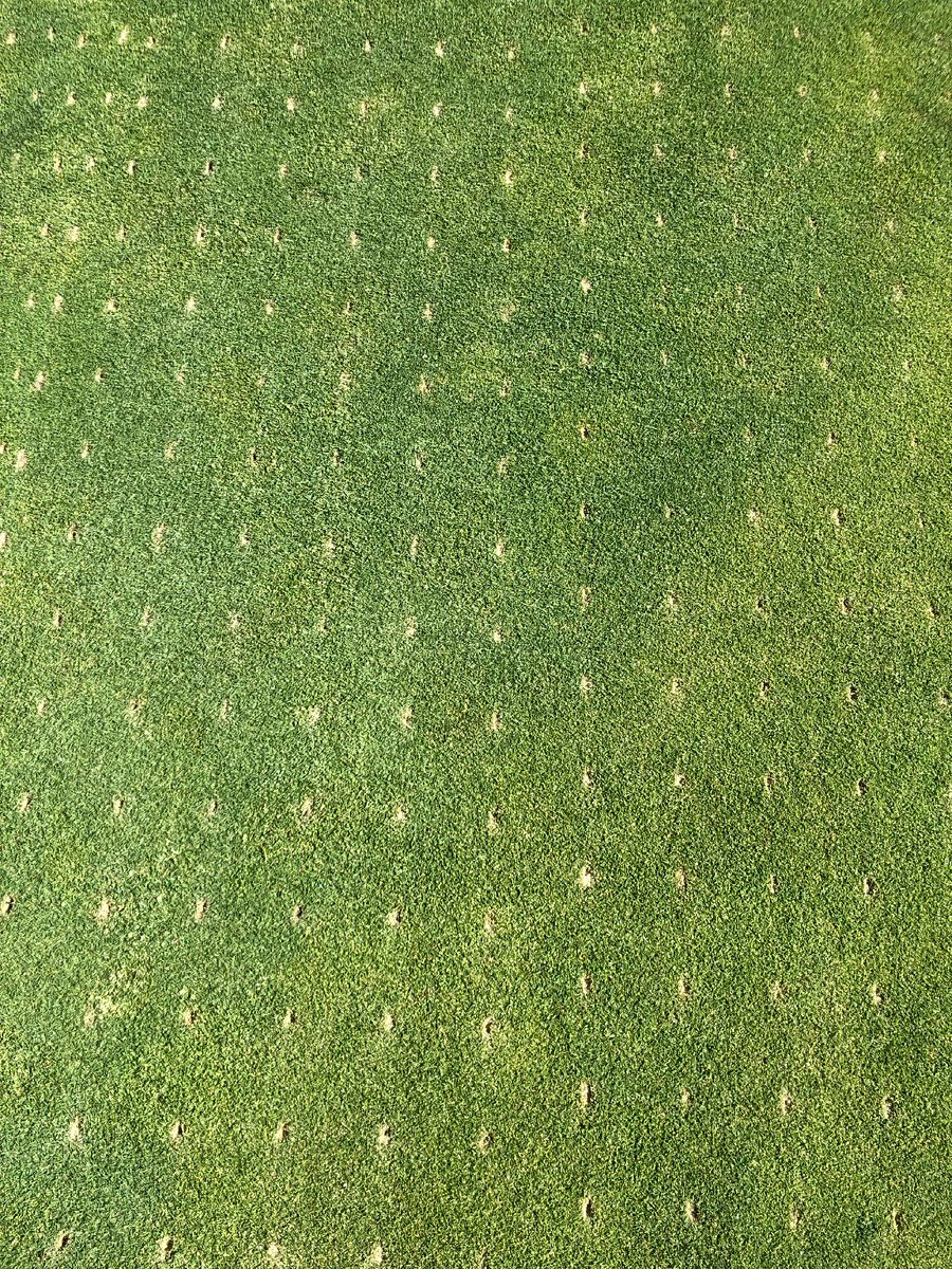 centaurap's tweet image. Centaur Asia Pacific (Australia) recently conducted a series of demonstrations at a number of New South Wales golf clubs, showcasing the @DryJect Unit.

#DryJect #GolfTurfCare #TurfManagementAU #CentaurAustralia #InnovativeTurfSolutions #CAPAU