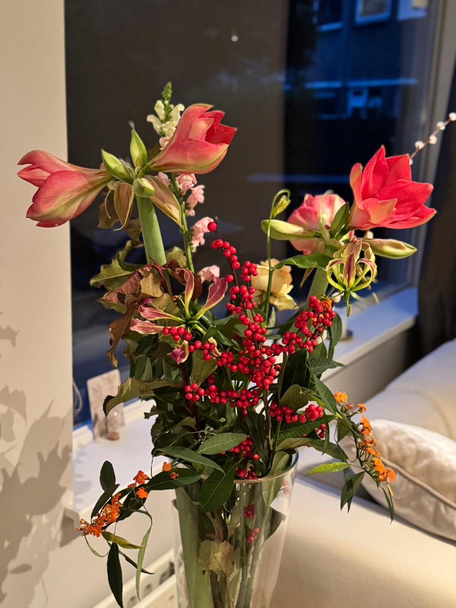 María José 🍄👁️✨ tweet media