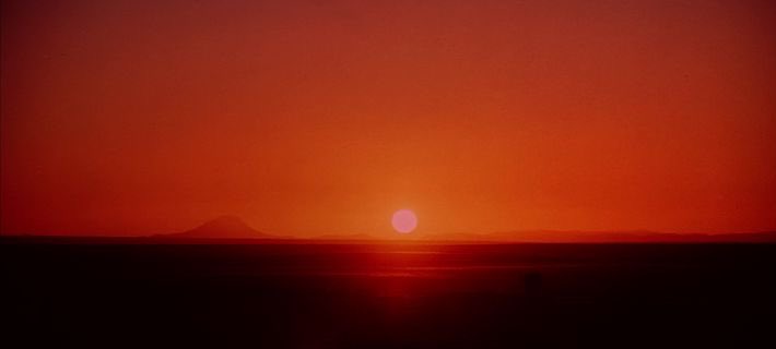 Cinema Joy tweet media