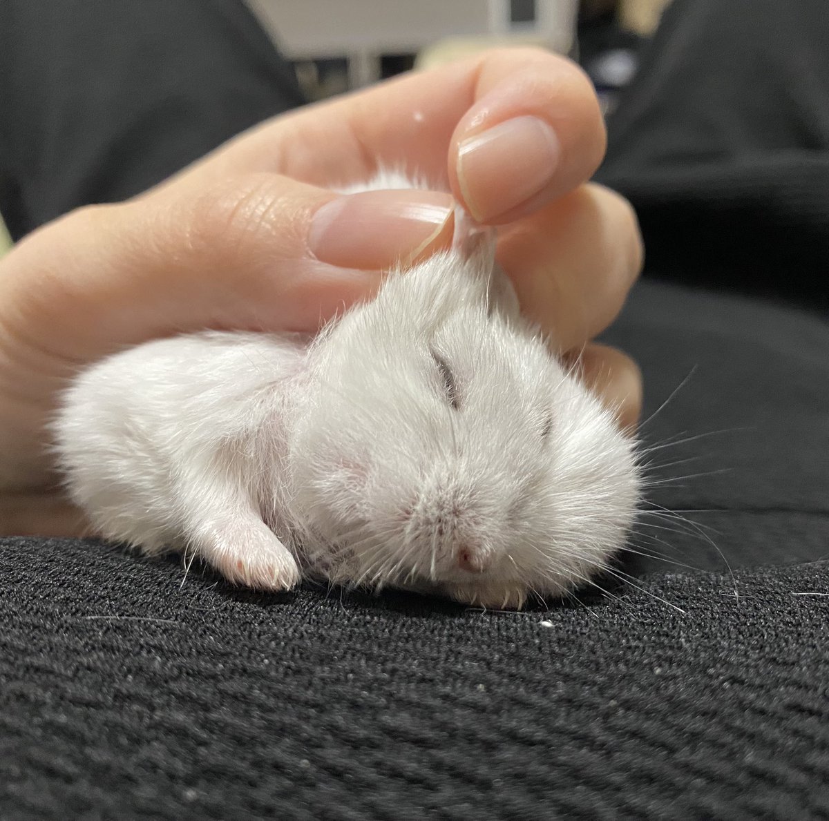 貴方は気持ちイイかもしれないけど、私も気持ちイイよ！