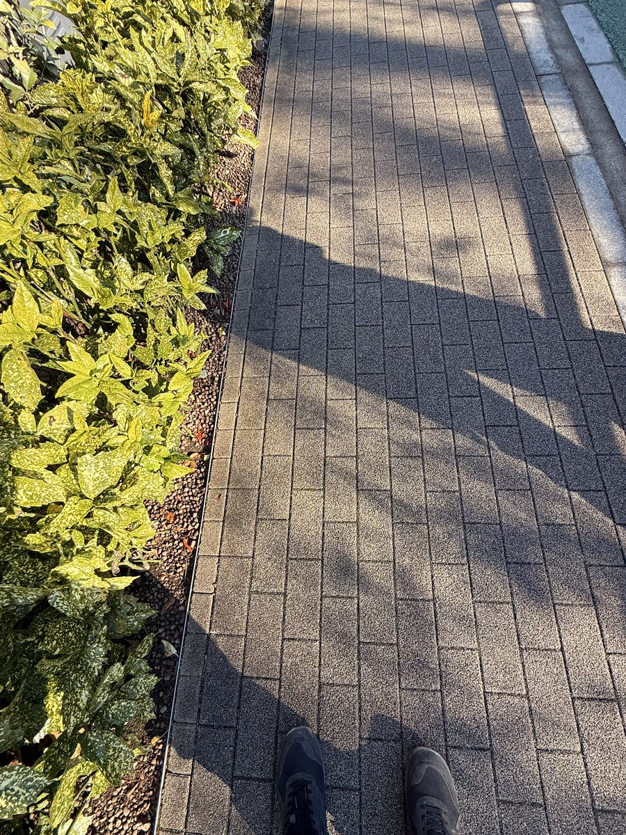 王局志安 tweet media