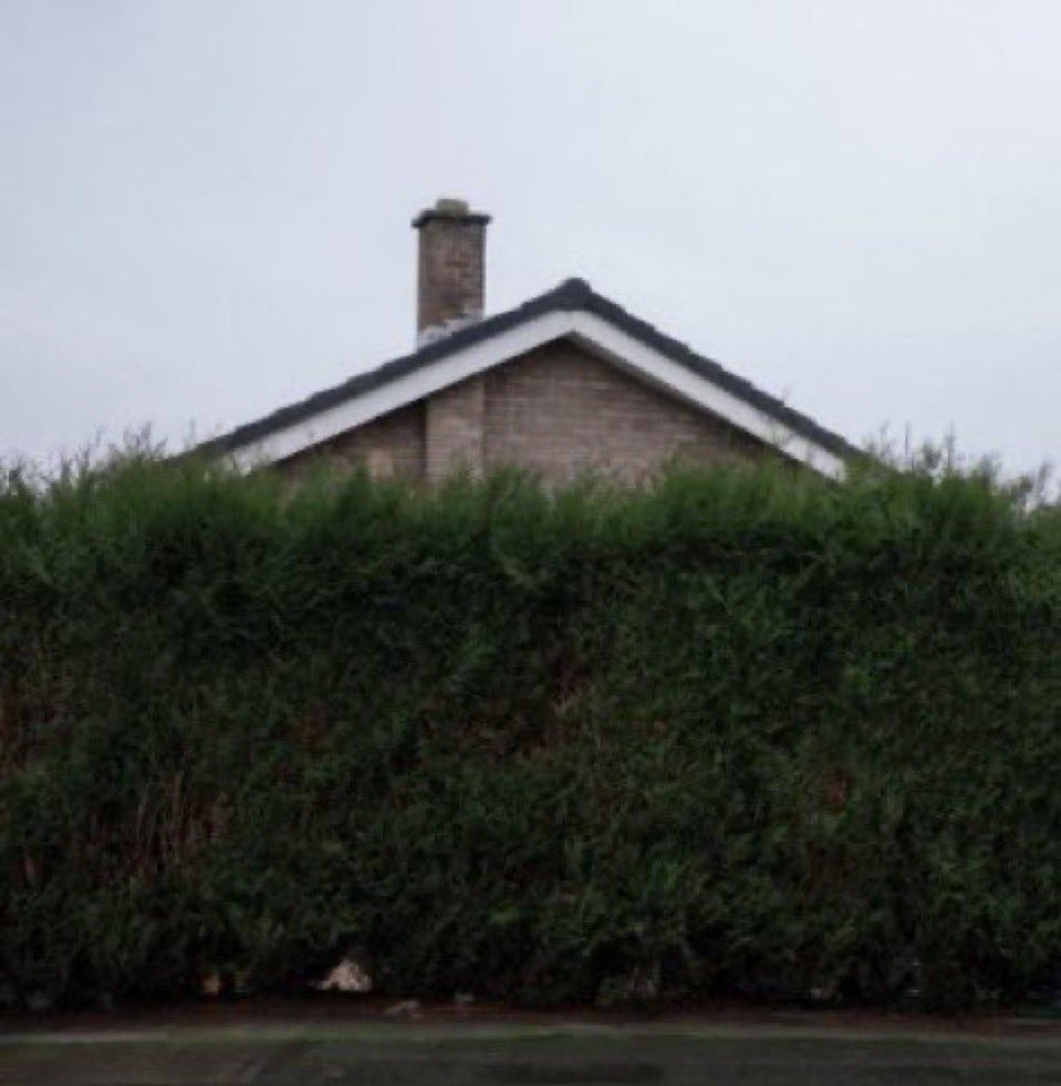 trumanpotb's tweet image. need to smoke a blunt here