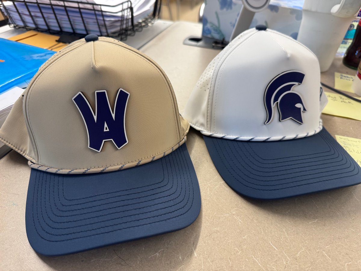 Spartan Baseball tweet media