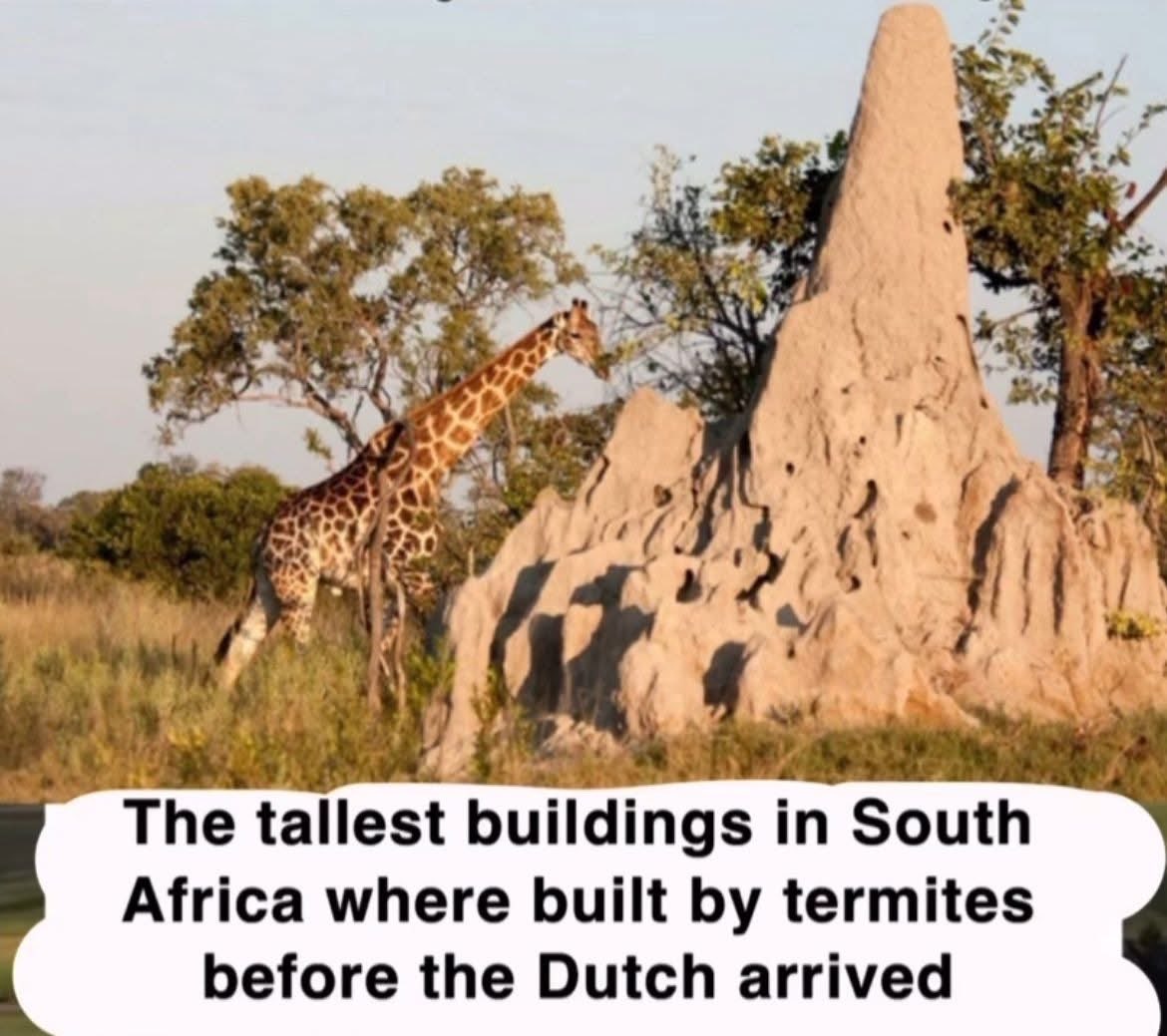 Rothmus's tweet image. 