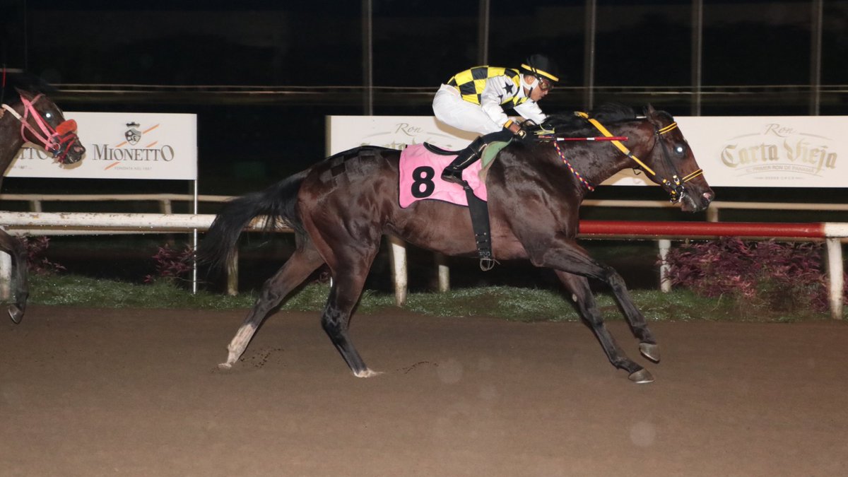 Dan Preiss tweet media