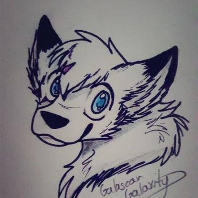 Your local dad tweet media