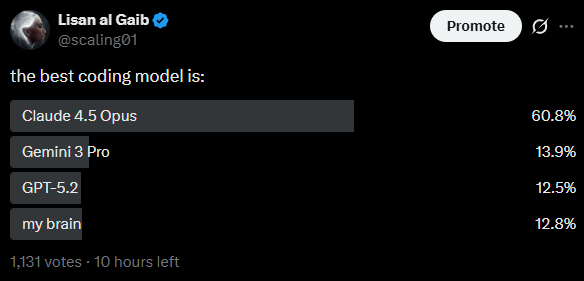 coding model poll