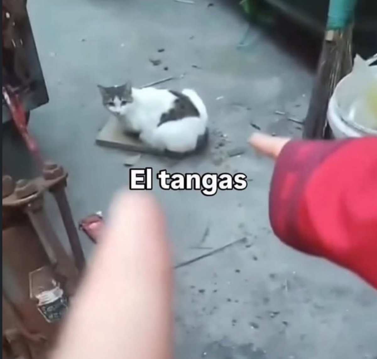 skereunpesado's tweet photo. https://t.co/dVcWJ1AQOz