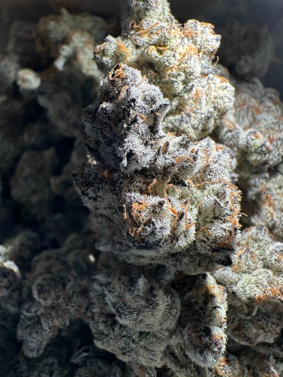 Fresh batch ⛽️🥶💦