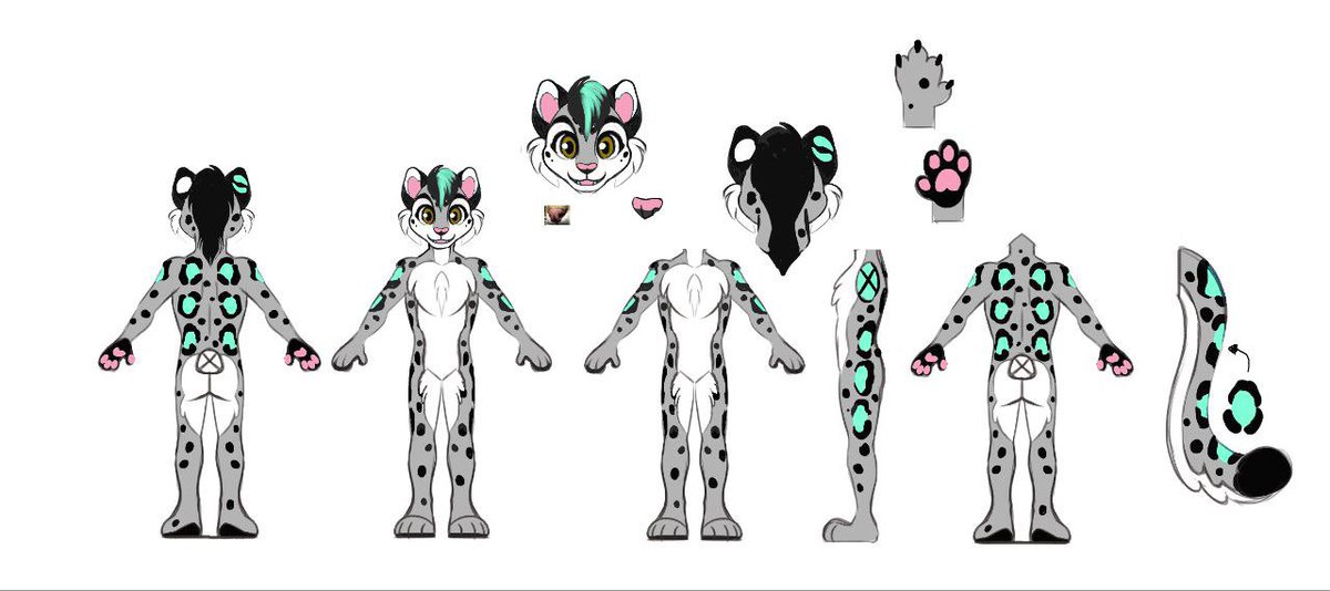 SpeedySnep tweet media