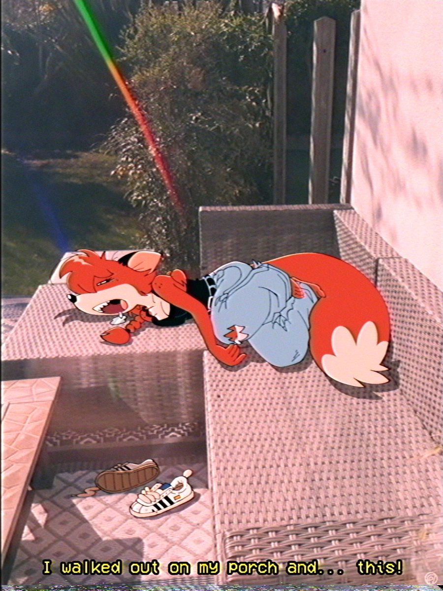 Fox Popvli tweet media