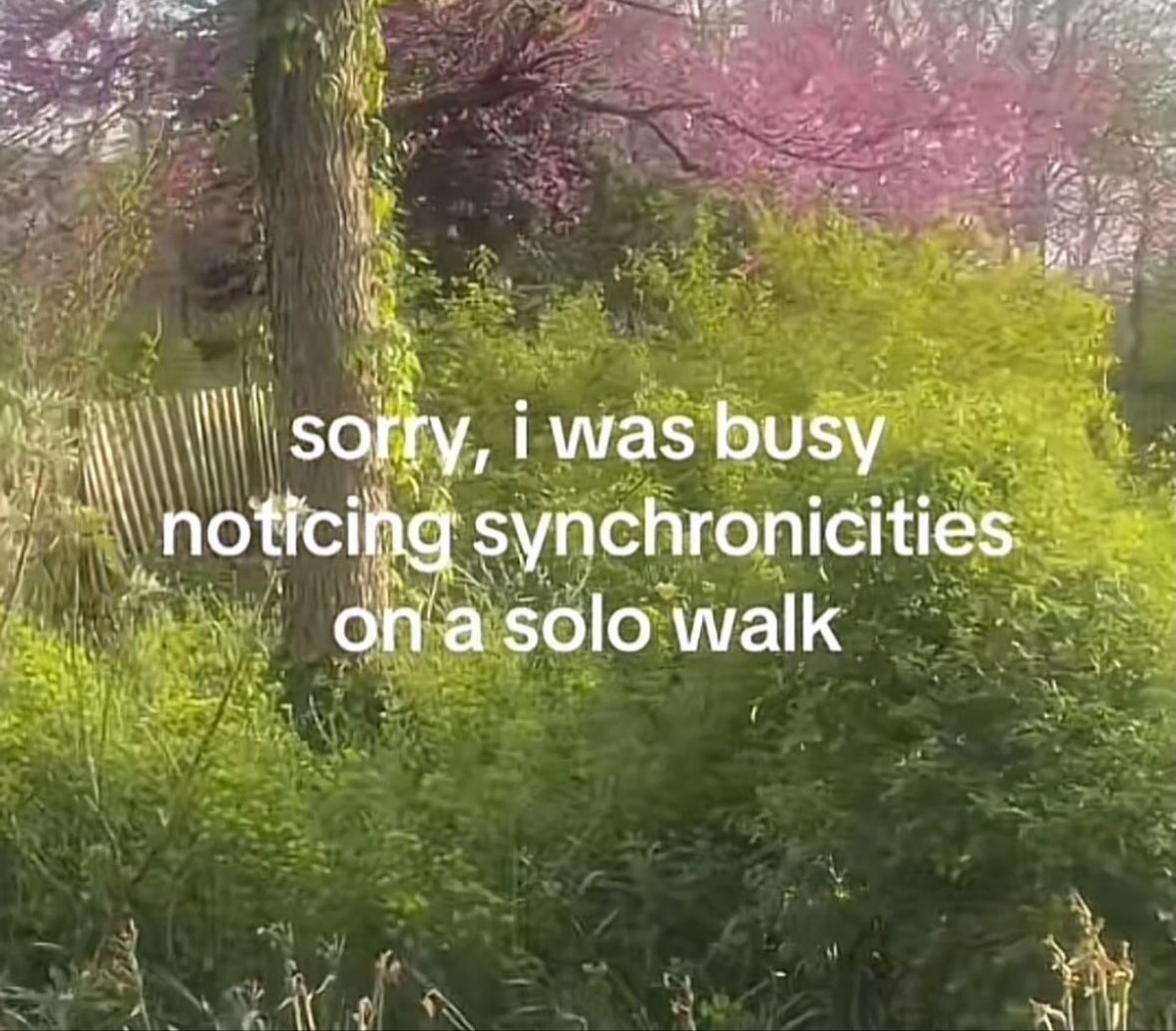 northstardoll's tweet image. 