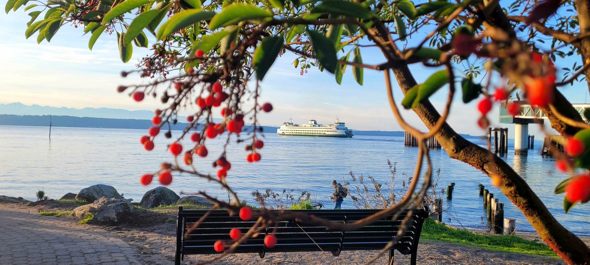 ReformedCFO's tweet image. 