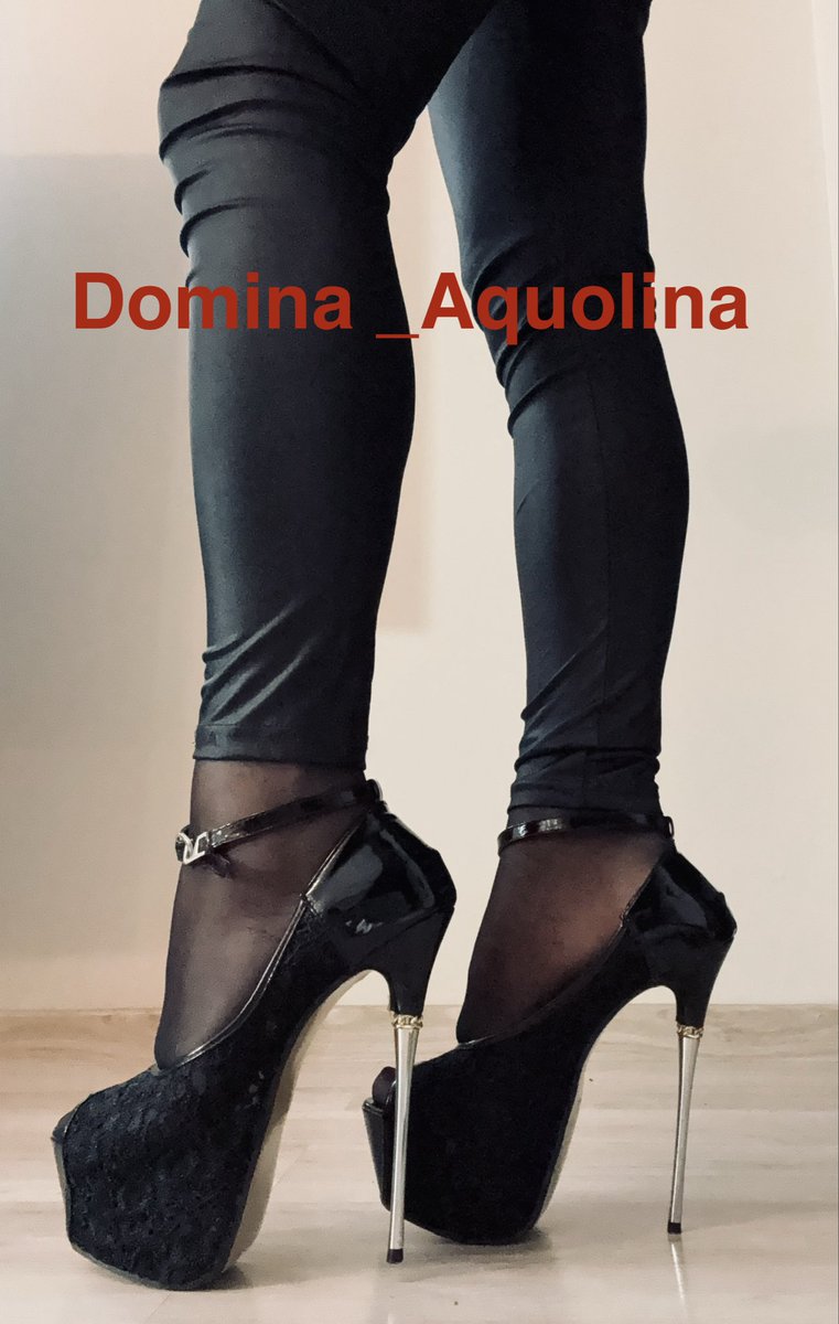 Domina_Aquolina's tweet photo. Meldować się na dojenie z $
@Paypig1976pig #findom #bdsmpl #findompolska #heels https://t.co/YTKgSNMlBW