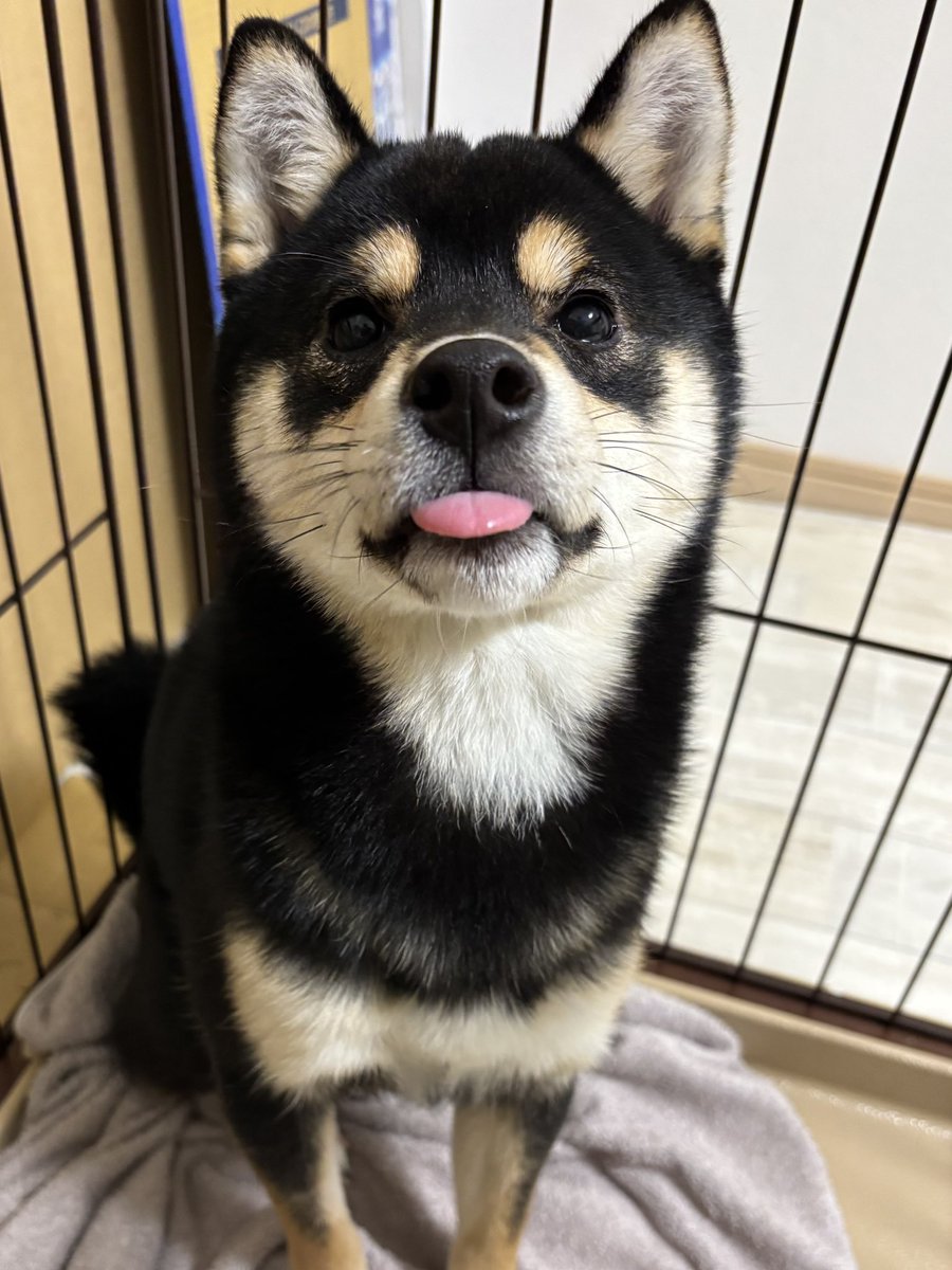 おはようございます。
さぁ今日も始まりますよ〜