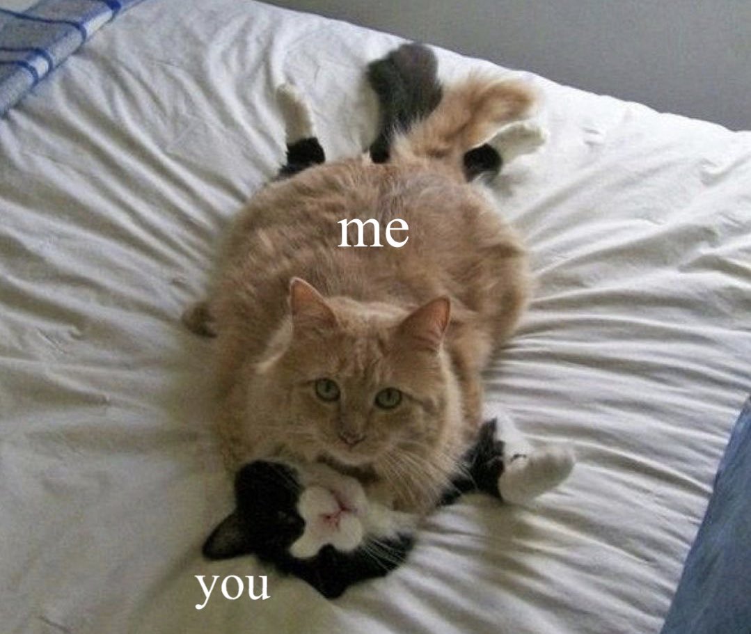 . (@deityofnightt) on Twitter photo 