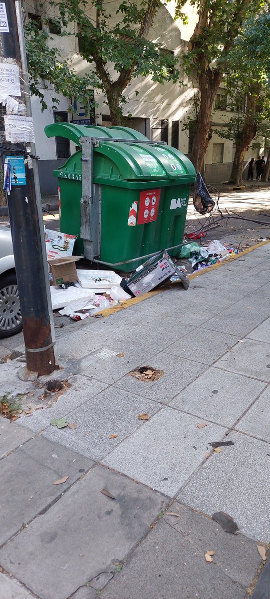 nestor del carlo tweet media