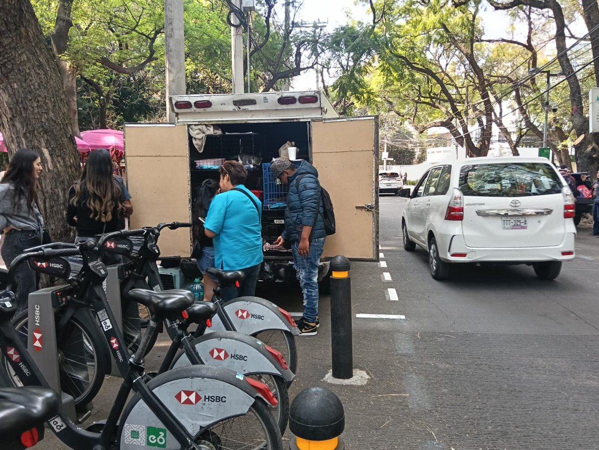 LaVozHipodromo's tweet photo. En #parqueMéxico #ilegalidad #maltratoanimal ahora en el arroyo vial .@UCS_GCDMX brigada animal: pseudo rescatadores venden animales en condiciones deplorables, es sumamente rentable, no cumplen con mínimo de regulación. Procuradora Mónica Alegre .@PAOTmx 
https://t.co/HUAZFb6xcv https://t.co/U5vl50Ampb