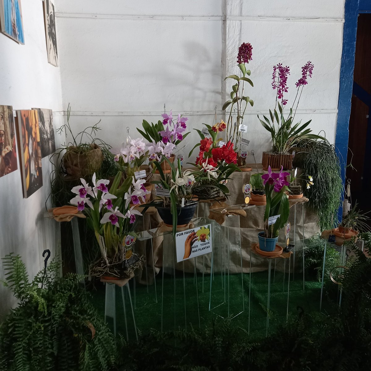 erickalbuqueoff's tweet photo. Podium de Sete Lagoas 🏆
#exposição #setelagoas #podium https://t.co/ckMU4twvQT