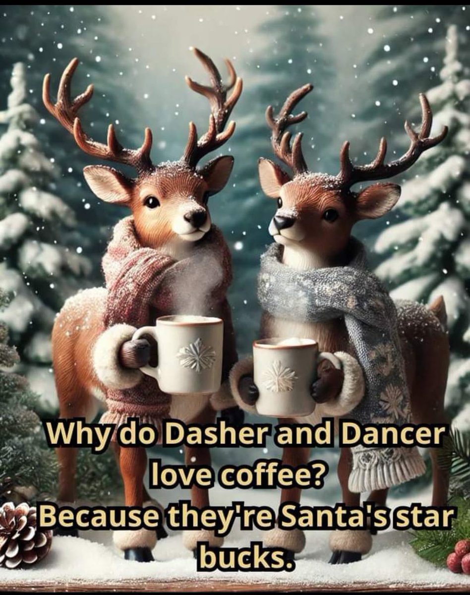 bonnimart1's tweet photo. 📷📷📷 #sunday #reindeer #JokeTime #starbucks https://t.co/6TYCIYkAjm