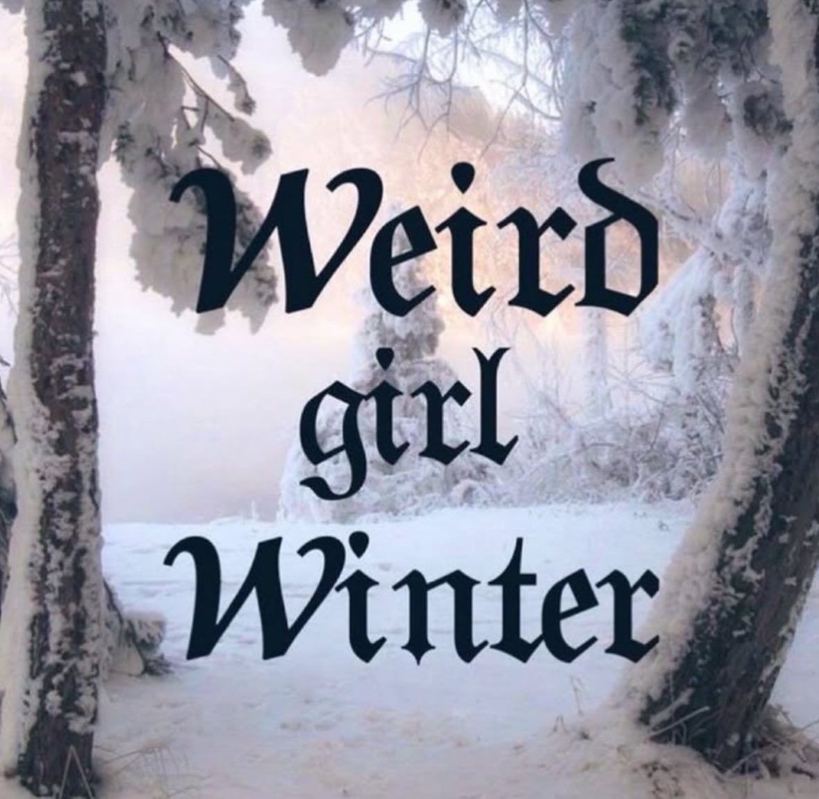 northstardoll's tweet image. 