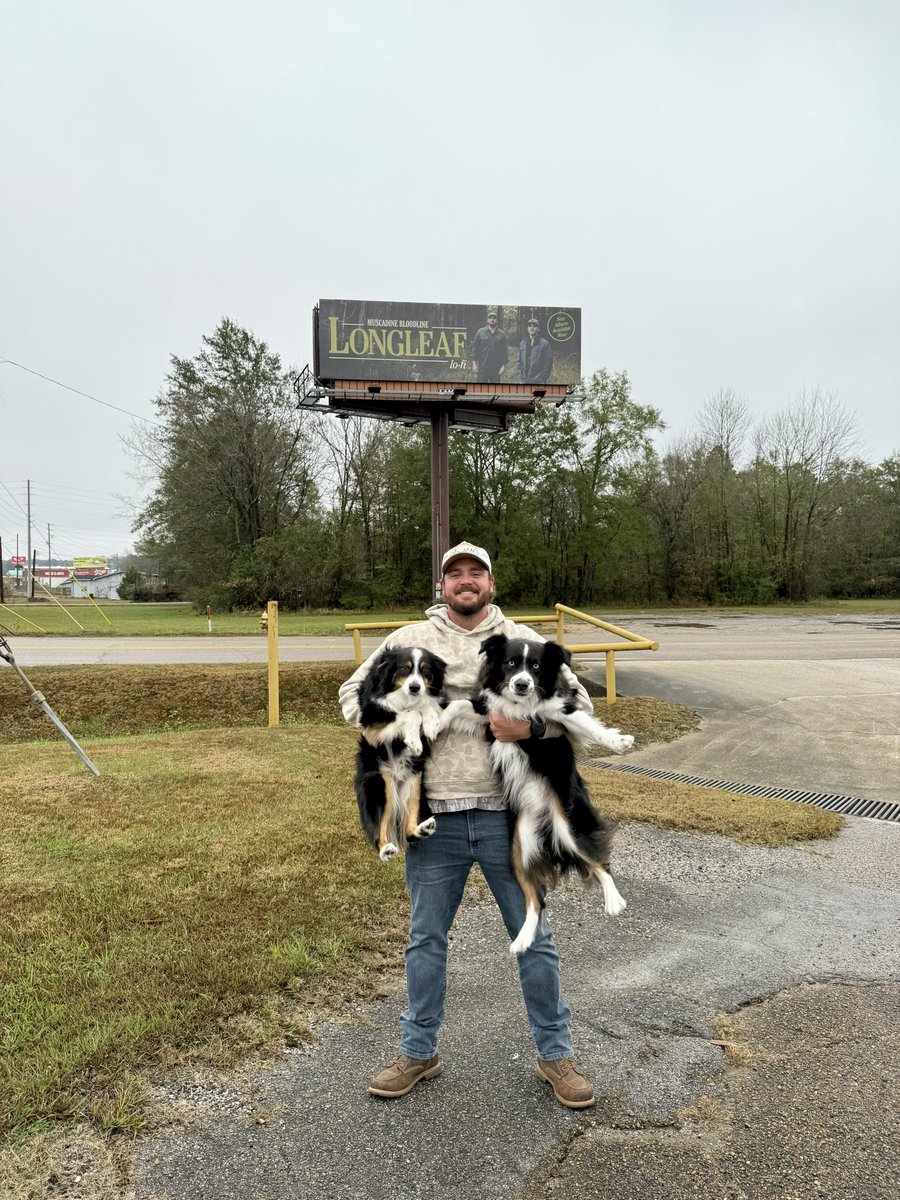 Muscadine Bloodline tweet media