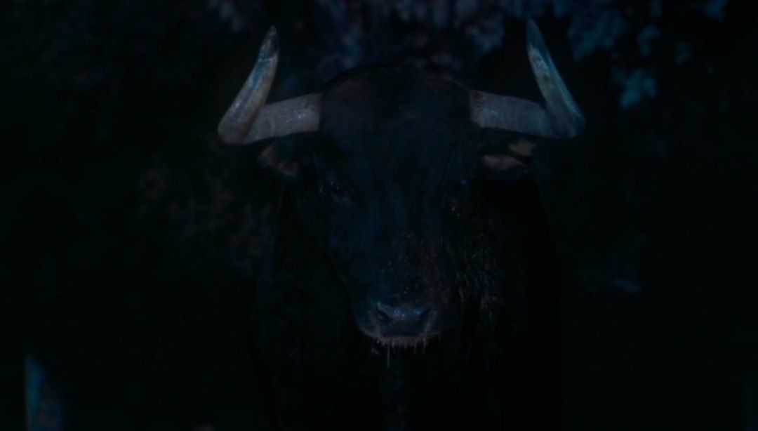 jesuscasas55's tweet photo. La película de Albert Serra, #TardesDeSoledad se hace con el galardón a Mejor Película Documental en #BSCF
¡Enhorabuena @acontrafilms ! https://t.co/GrNvsRWsPw