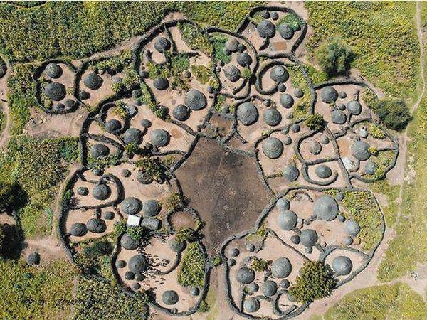 Guerra en la Universidad tweet media