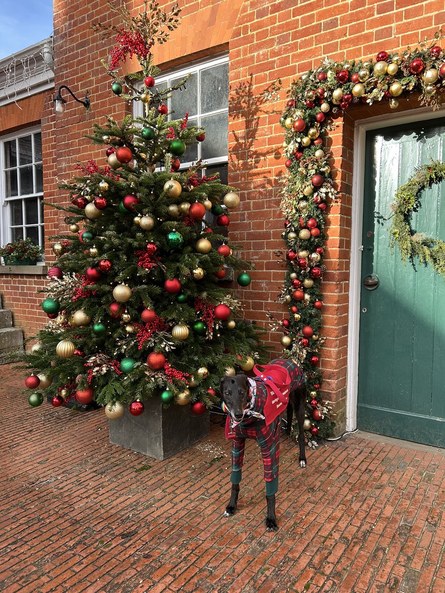 Duke 💙 tweet media