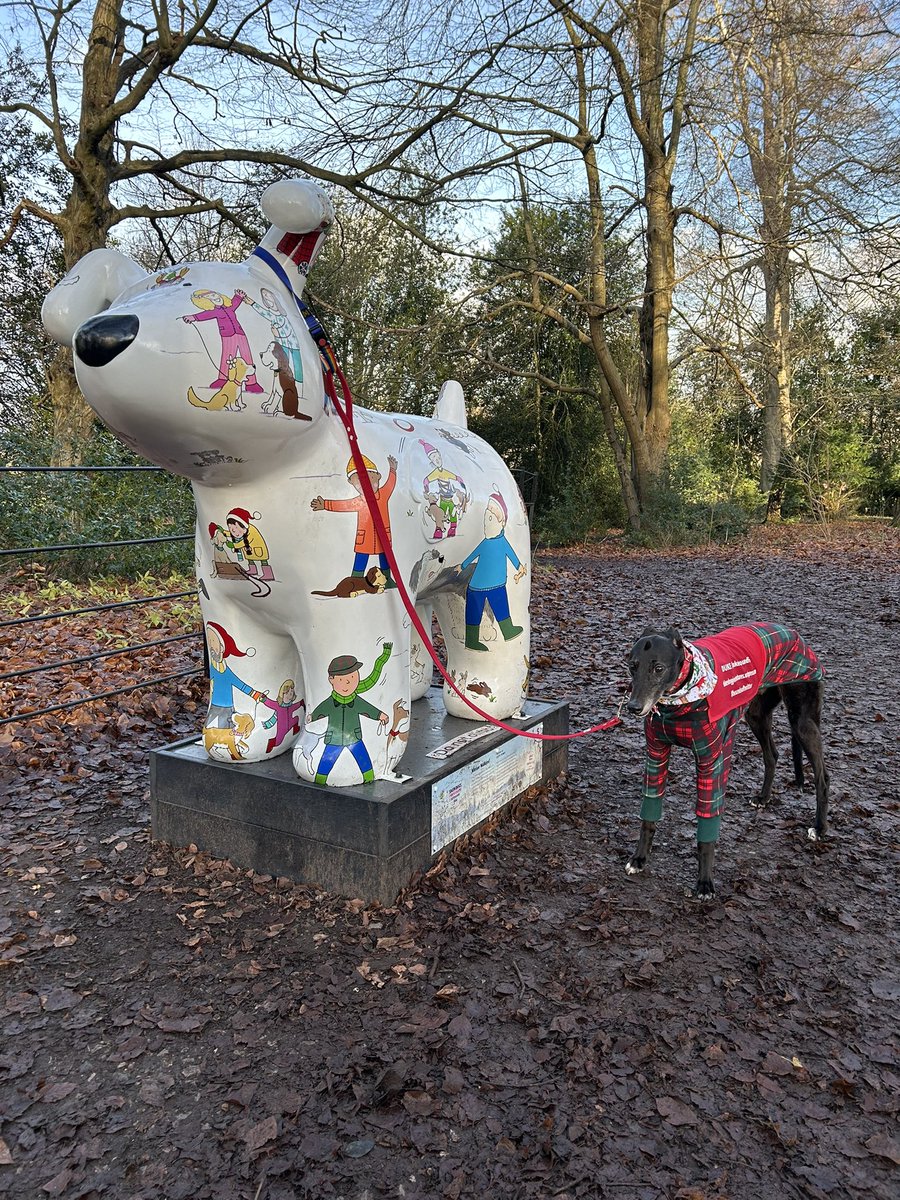 Duke 💙 tweet media