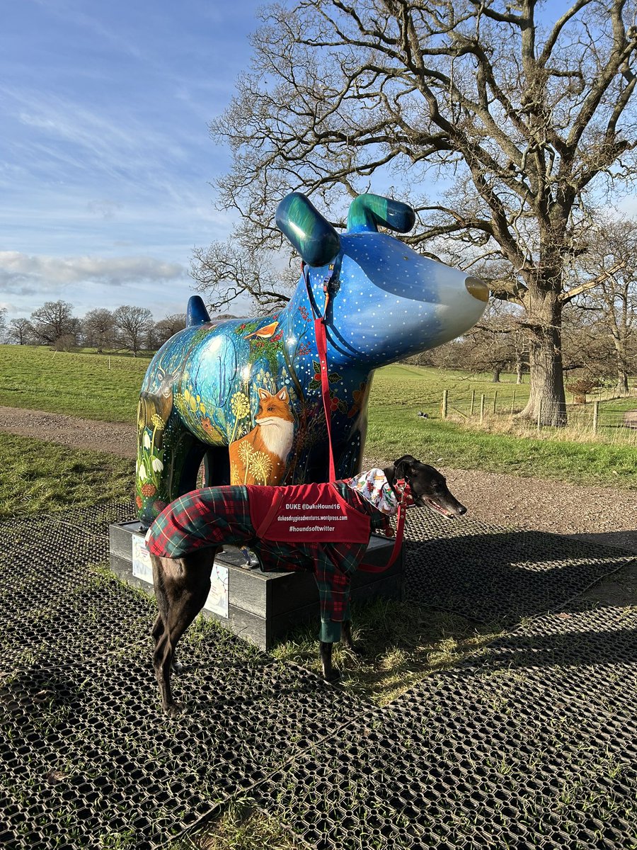 Duke 💙 tweet media