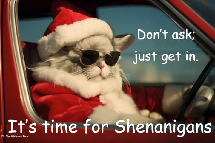 Gretta da Saskatchenach 🏴󠁧󠁢󠁳󠁣󠁴󠁿🇨🇦🍄 (@noragretta) on Twitter photo 