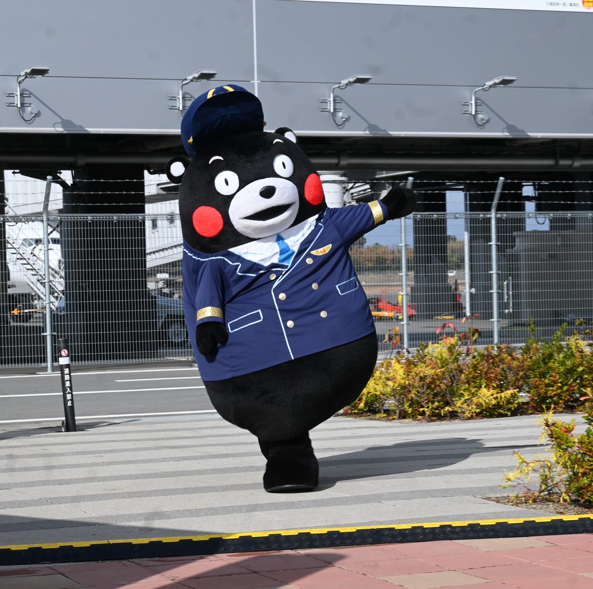 ⭐️ くまこです Post by Masashi Taniguchi on X: おはくまです。