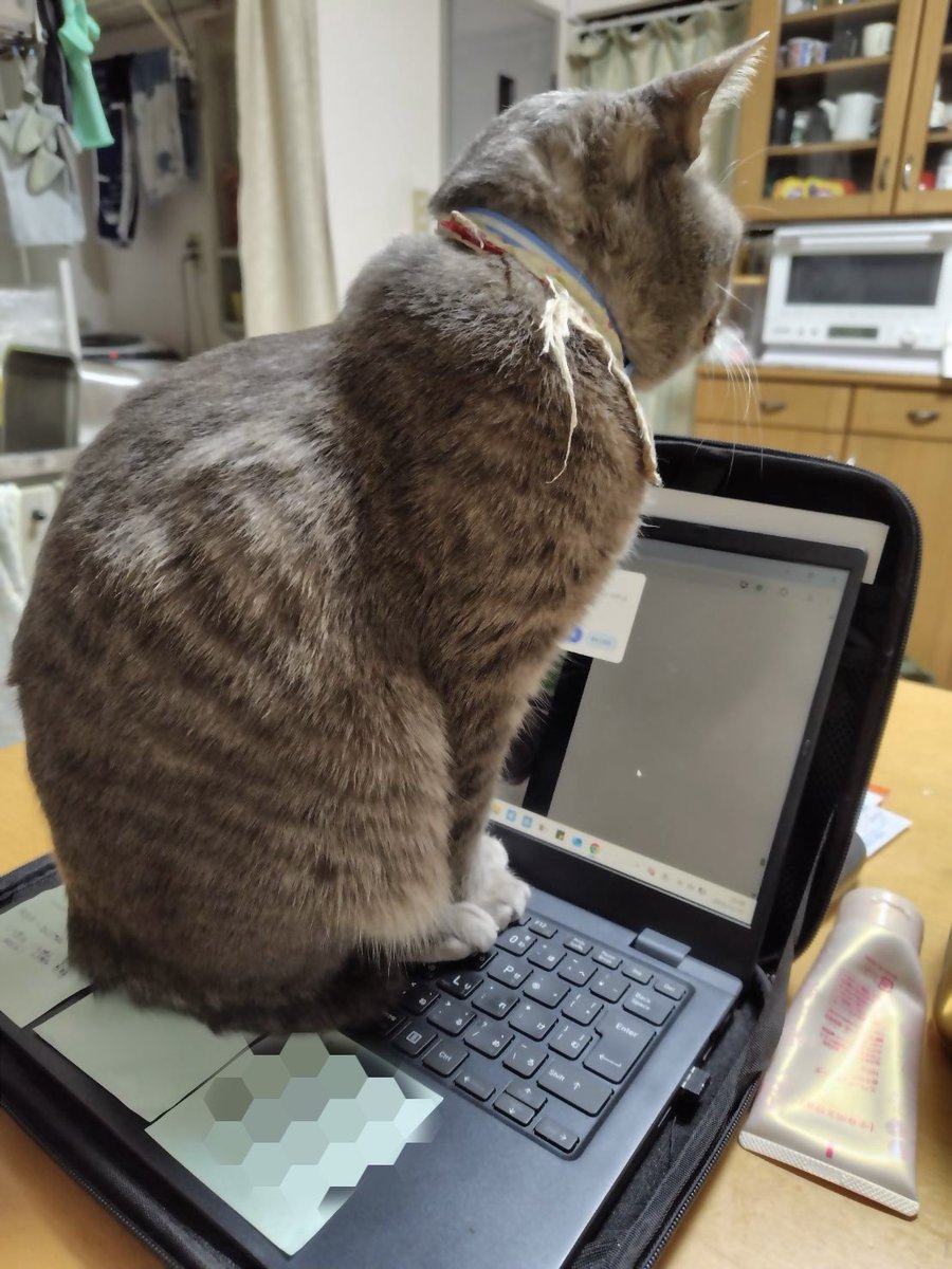 むむ (@mumumi_0714) / Posts / X