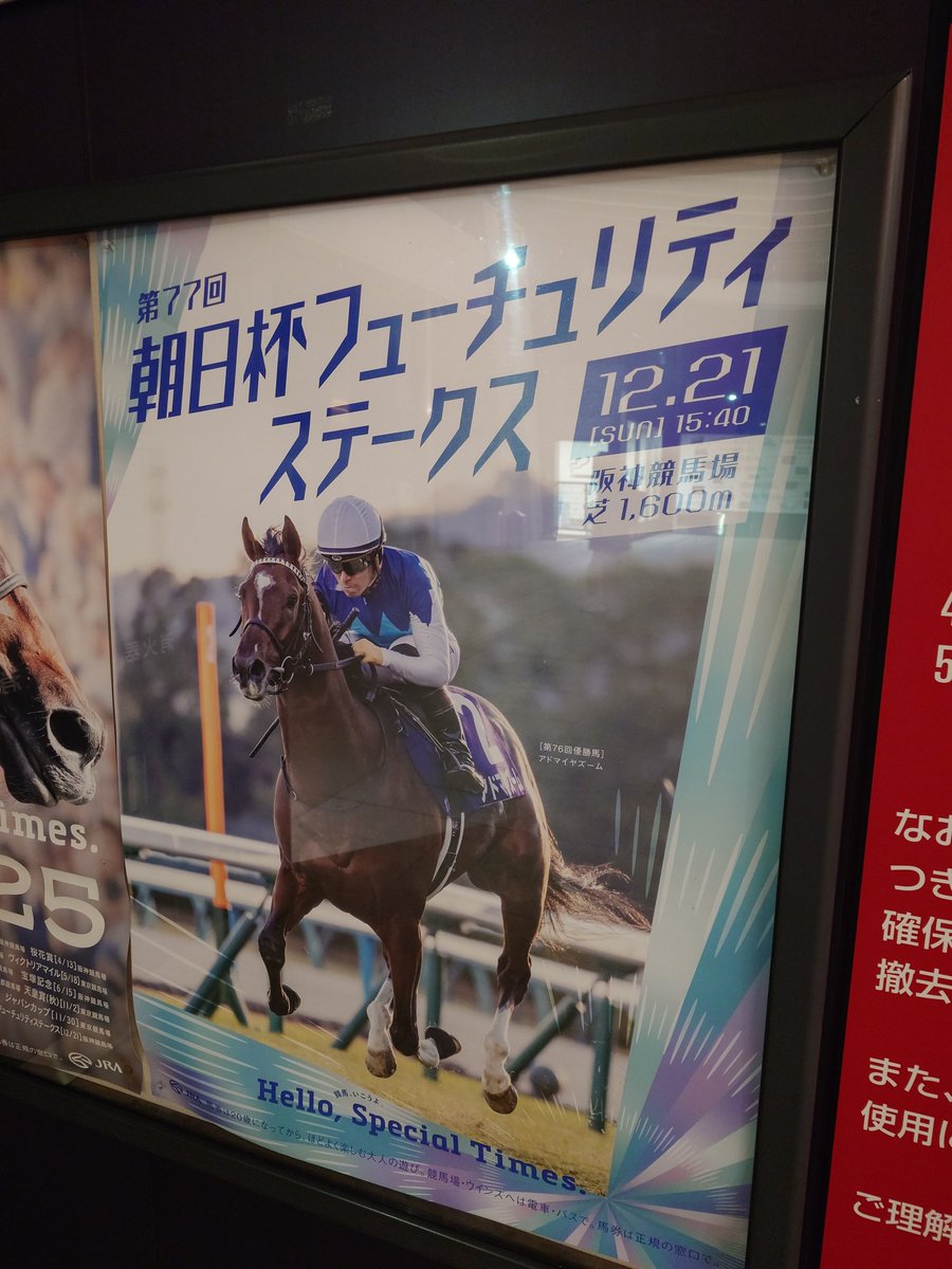 2025年 朝日杯フューチュリティーステークス アドマイヤズーム
