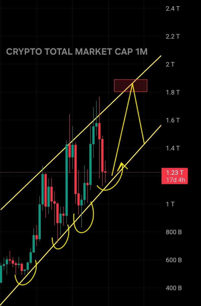 Never left.
Just sharpening the blade.
King is back. 👑