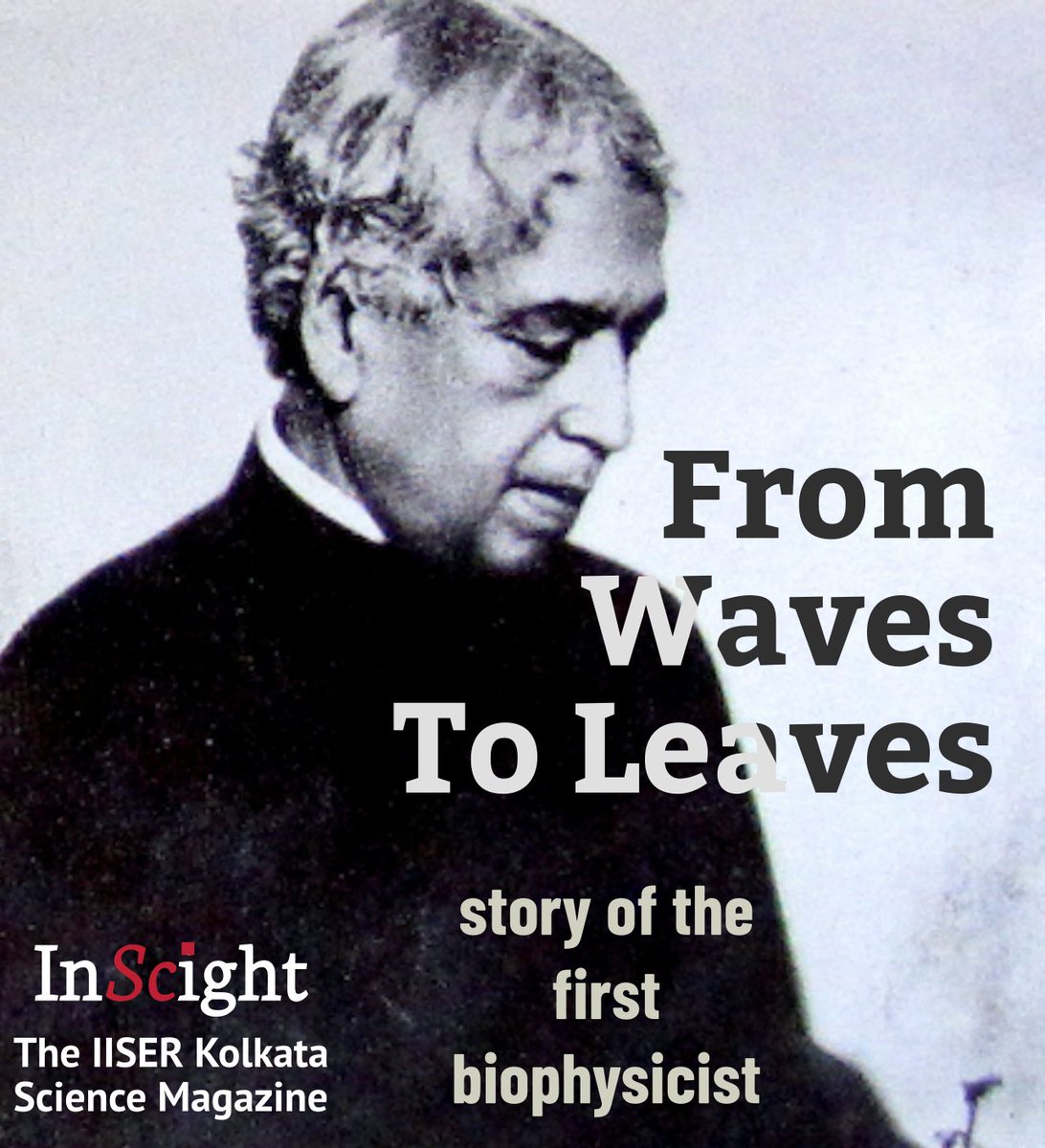 InScight tweet media